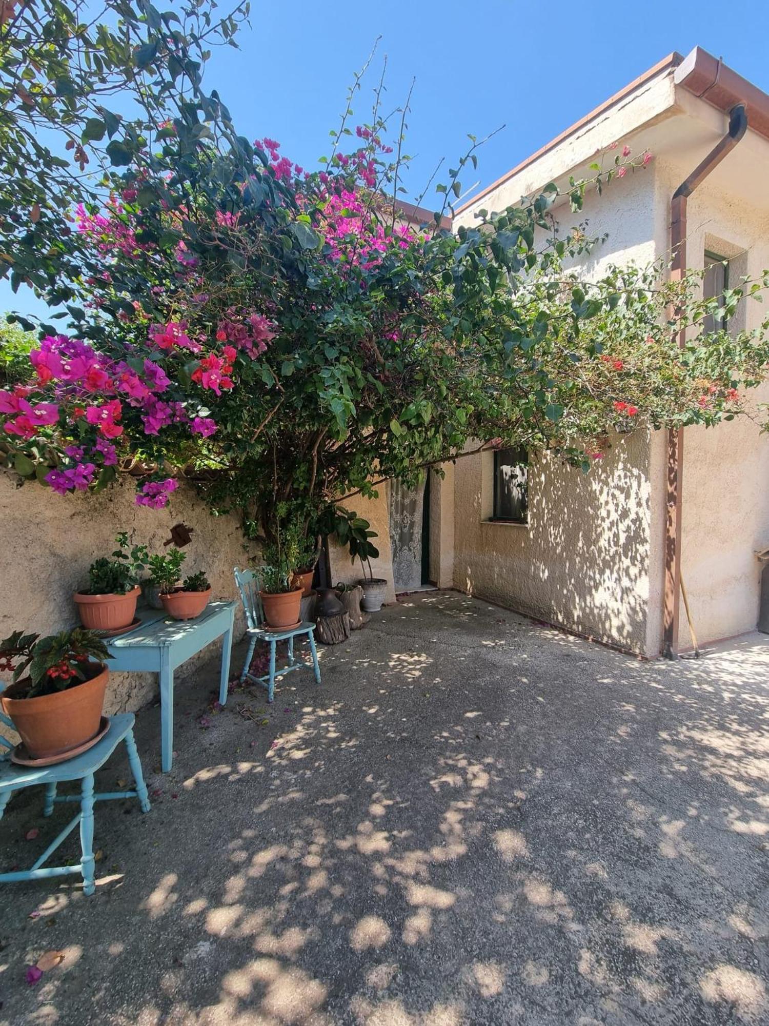 La Bouganville Apartment